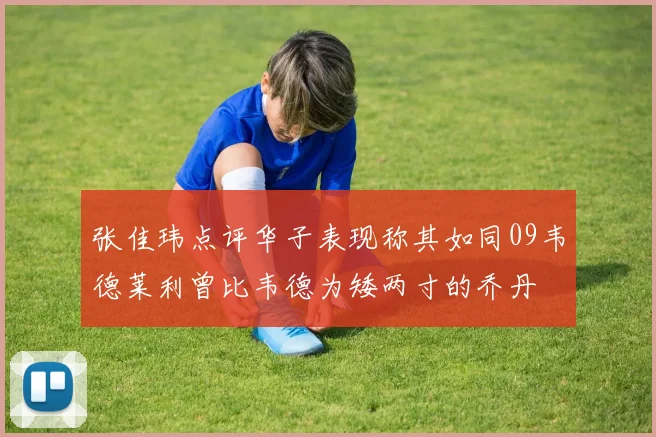 张佳玮点评华子表现称其如同09韦德莱利曾比韦德为矮两寸的乔丹
