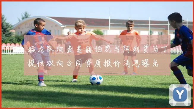 猛龙队向查基赫伯恩与阿利贾马丁提供双向合同资质报价消息曝光