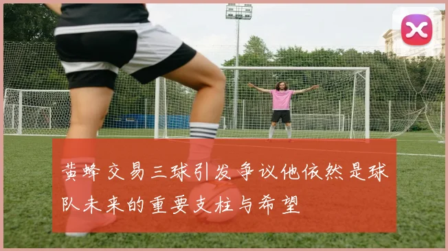 黄蜂交易三球引发争议他依然是球队未来的重要支柱与希望