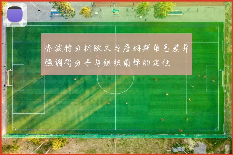 香波特分析欧文与詹姆斯角色差异强调得分手与组织前锋的定位